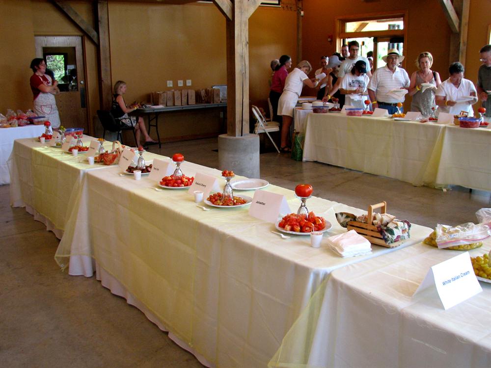 People sampling heirloom tomatoes at a local tomato tasting