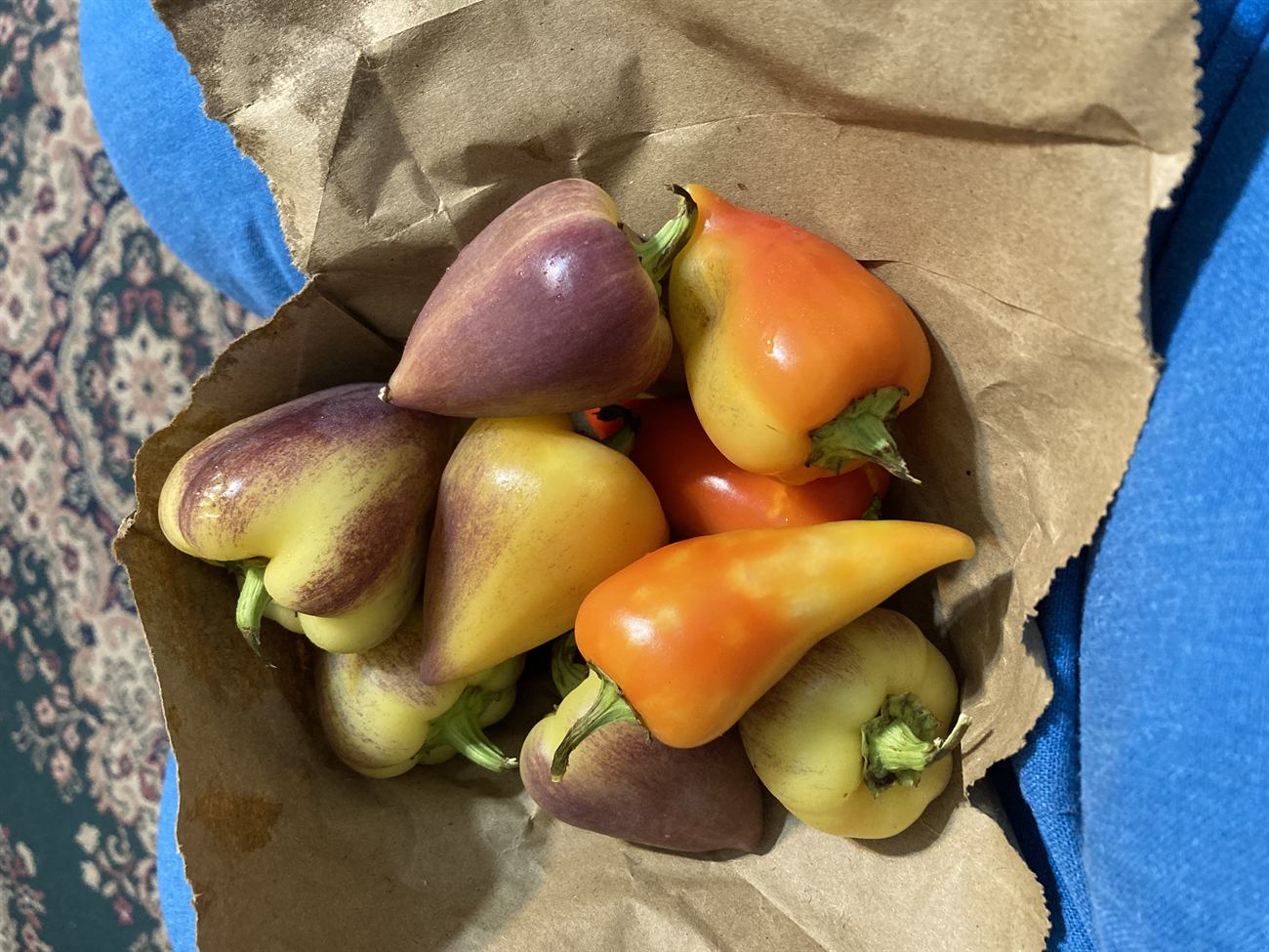 Freshly harvested local peppers